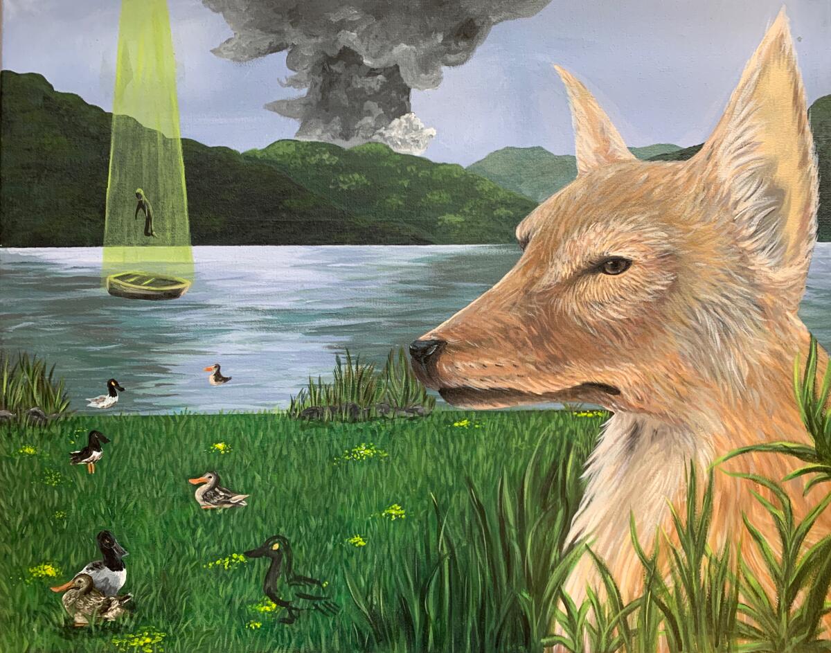 Pintura acrílica de un coyote hecha por Danette García
