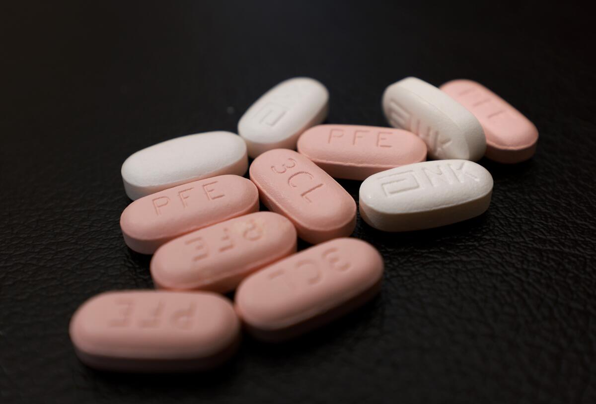 Pfizer's Paxlovid pills are displayed in Pembroke Pines, Florida.