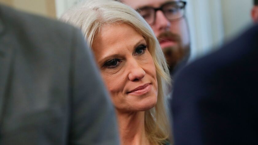 Kellyanne Conway, senior advisor to President Trump, told Fox News on Thursday that people should give Ivanka Trump's company their business. "Go buy it today," she said.