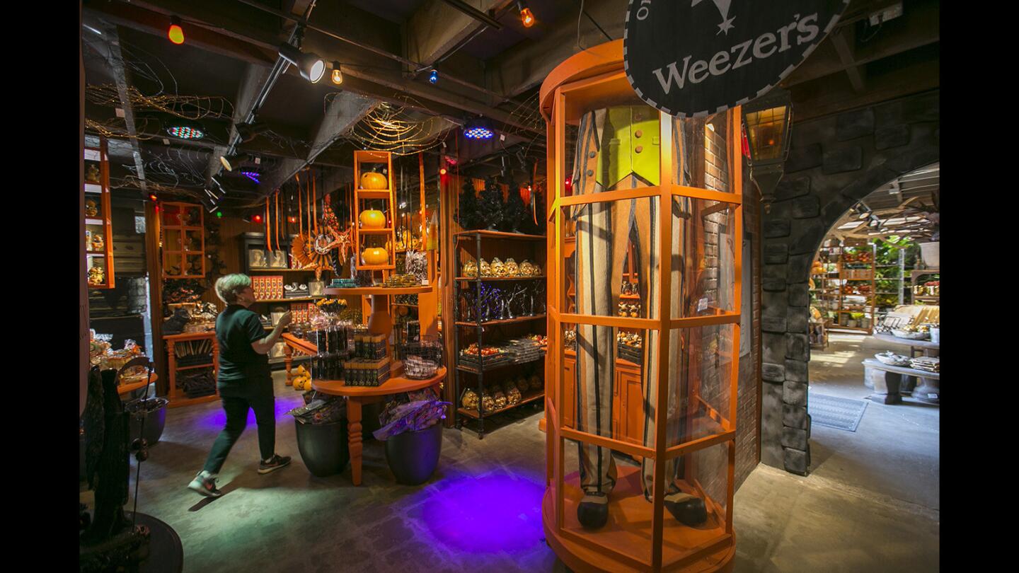 An employee looks at the display in the Weezer’s Joke Emporium, part of the Magic & Mayhem Halloween Boutique at Roger's Gardens on Wednesday, Aug. 30. The boutique officially opens to the public on Friday, Sept. 1.