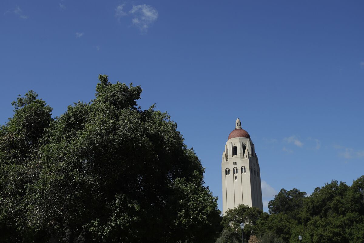 Hoover Tower rises above trees on Stanford's campus