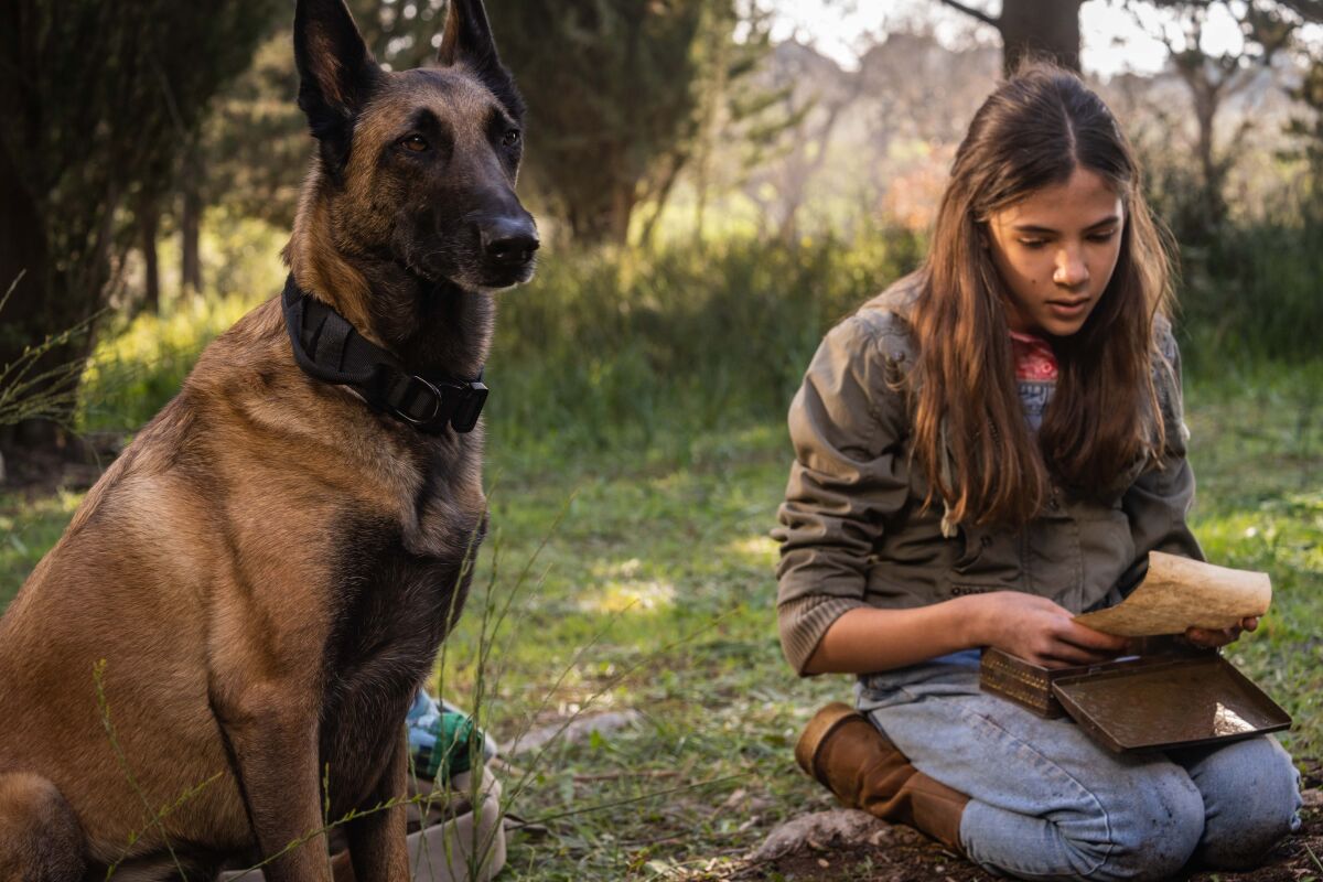 A girl kneeling on the ground reading a letter beside a dog in the movie “Dakota.”
