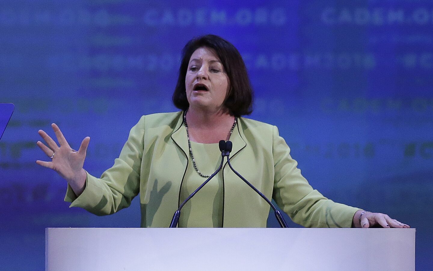 Assembly Speaker Toni Atkins, D-San Diego, speaks before the California Democratic Party Convention on Saturday in San Jose.