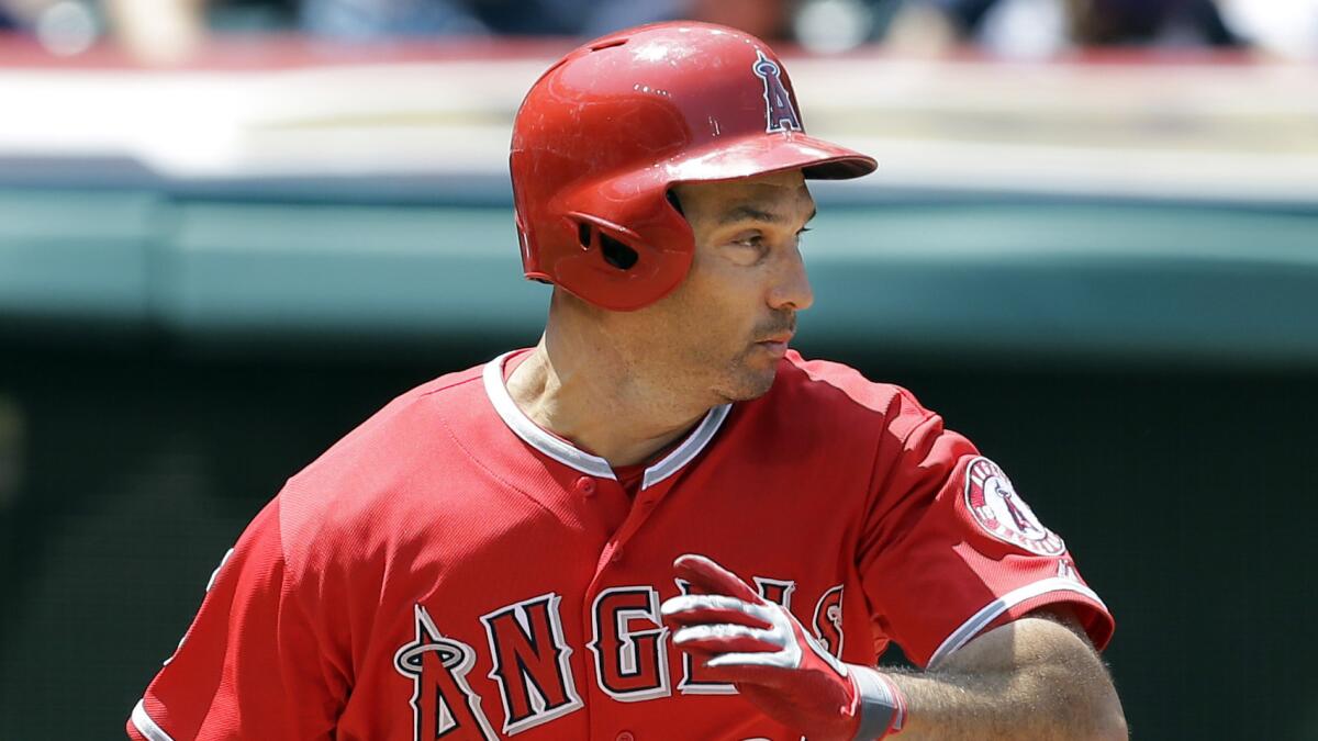The Angels released veteran designated hitter Raul Ibanez on Saturday.