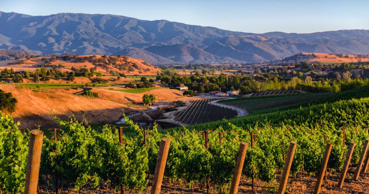 Accueillante mais sophistiquée, Santa Ynez est un paradis rural Accueillante mais sophistiquée, Santa Ynez est un paradis rural