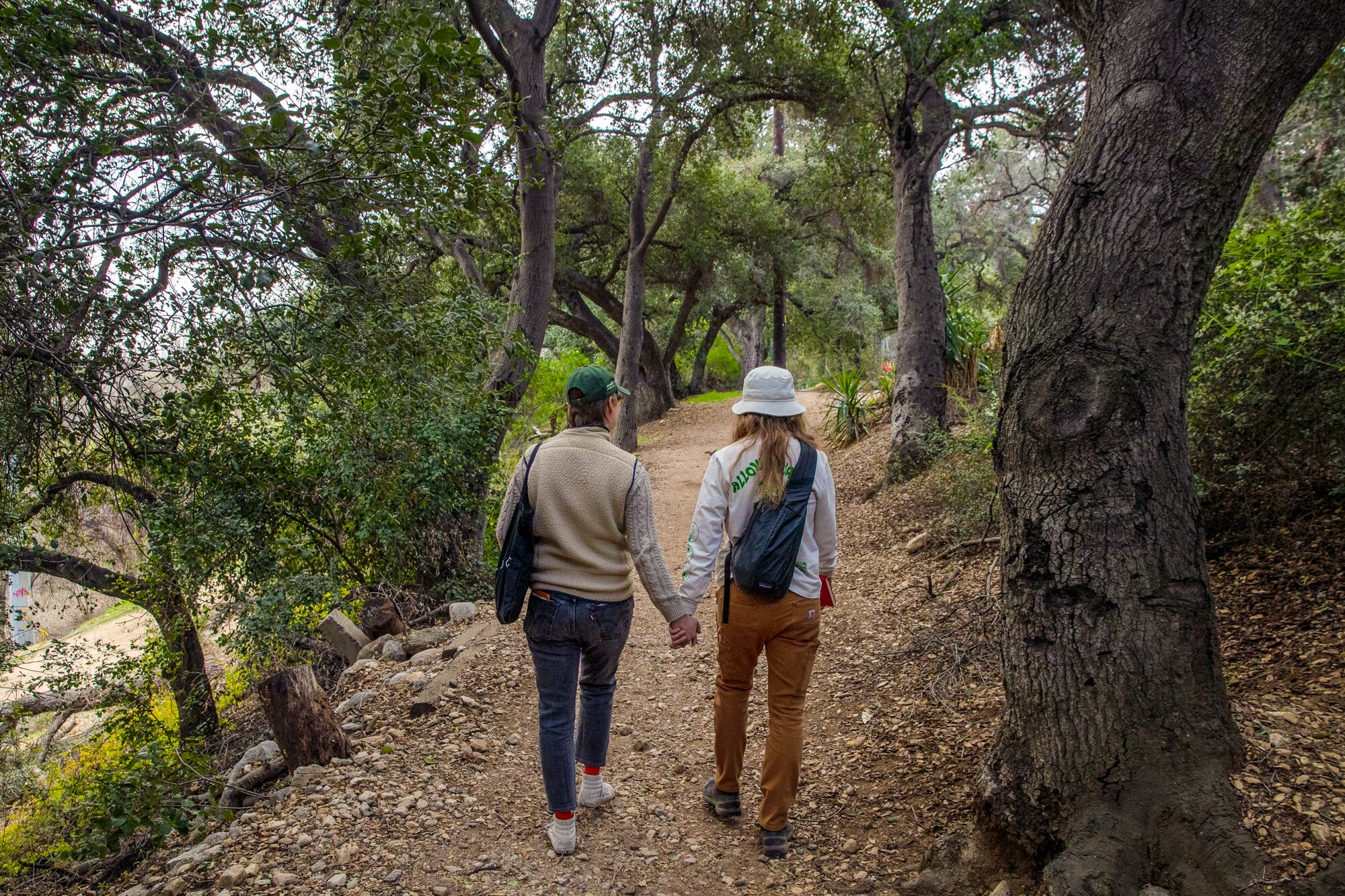 two people holding hands as they stroll on a path in a forest 