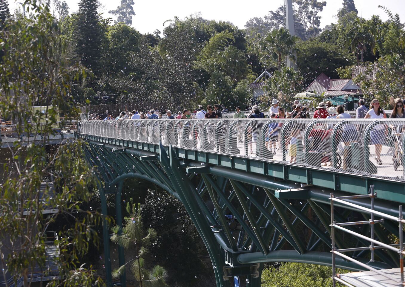 The Zoo's new Canopy Bridge