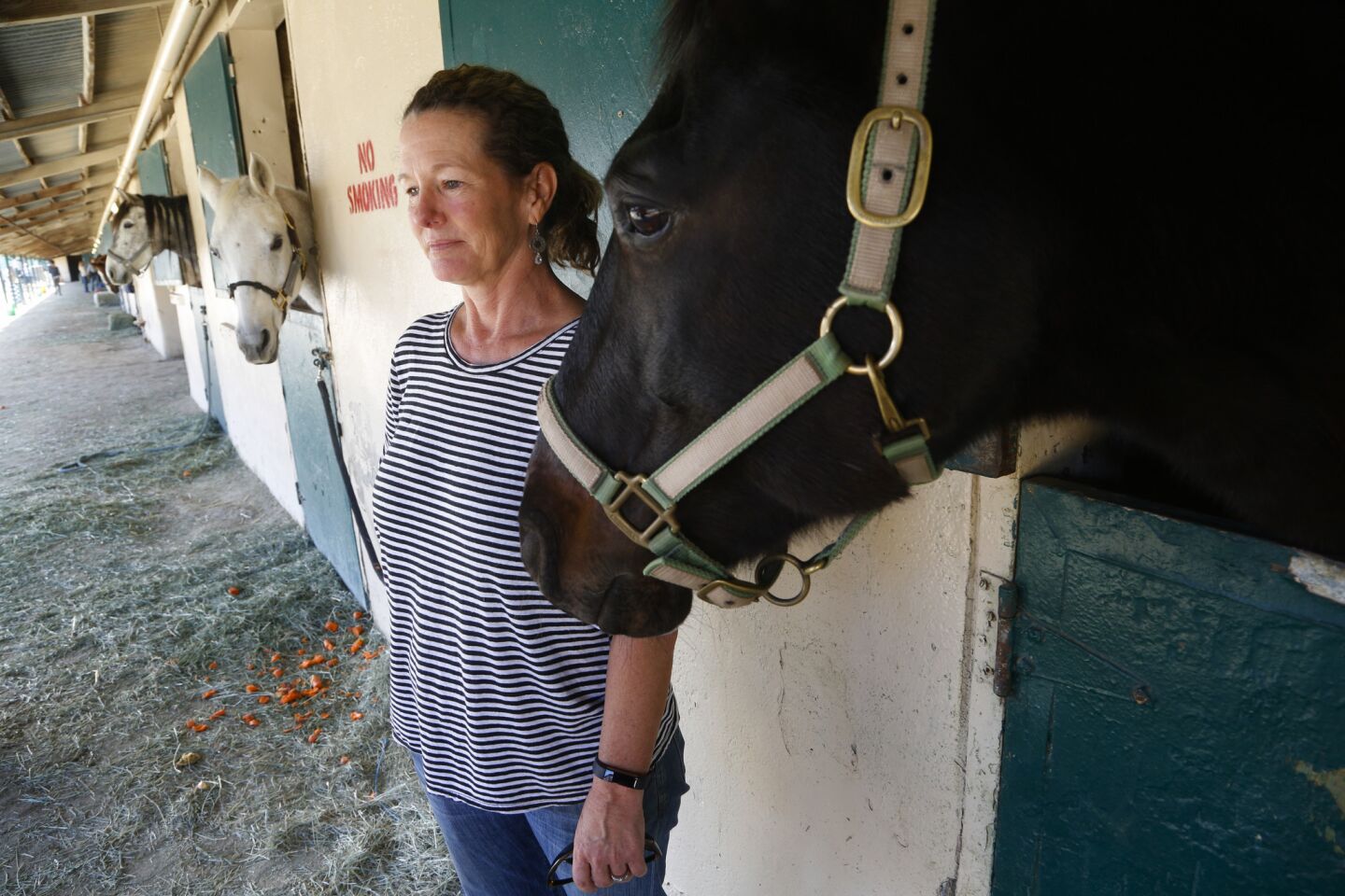 Evacuation Center for horses from the North County