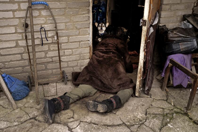 A dog stands next to the body of an elderly woman killed at the entrance of her house in Bucha, outskirts of Kyiv, Ukraine, Tuesday, April 5, 2022. (AP Photo/Felipe Dana)