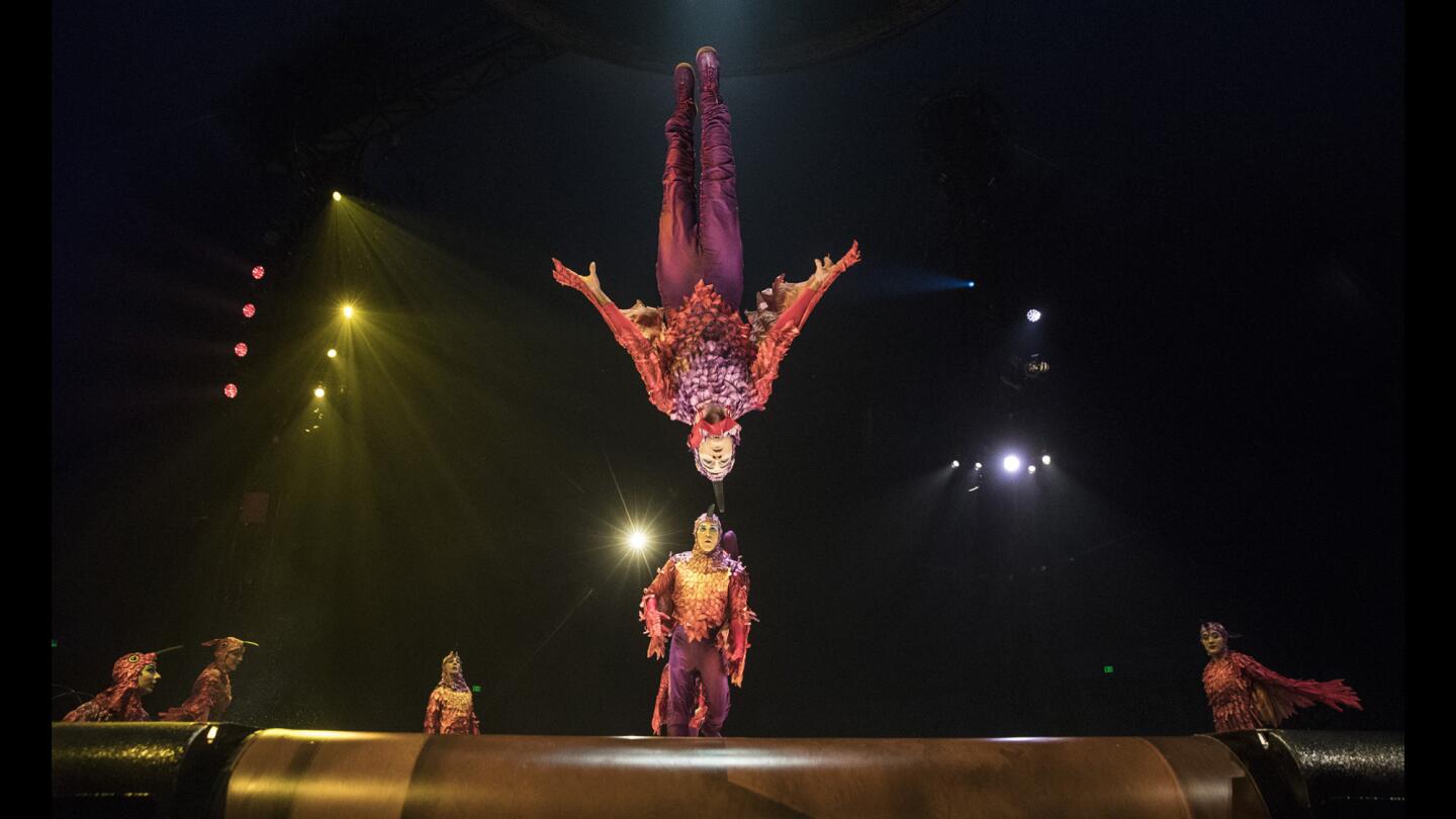 Cirque du Soleil's 'Luzia'