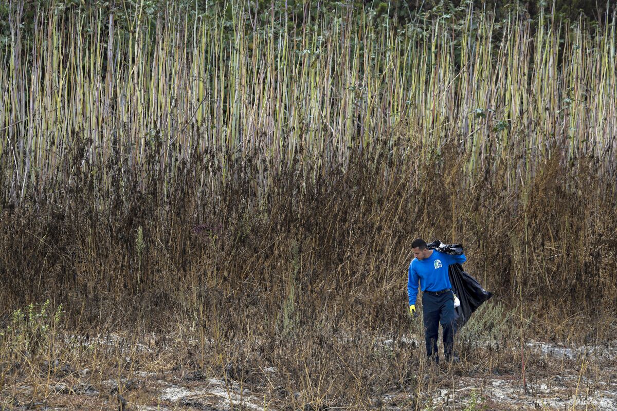 Joshua Esparza, 27, carrying a trash bag, takes part in the cleanup of the Whittier Narrows Natural Area.