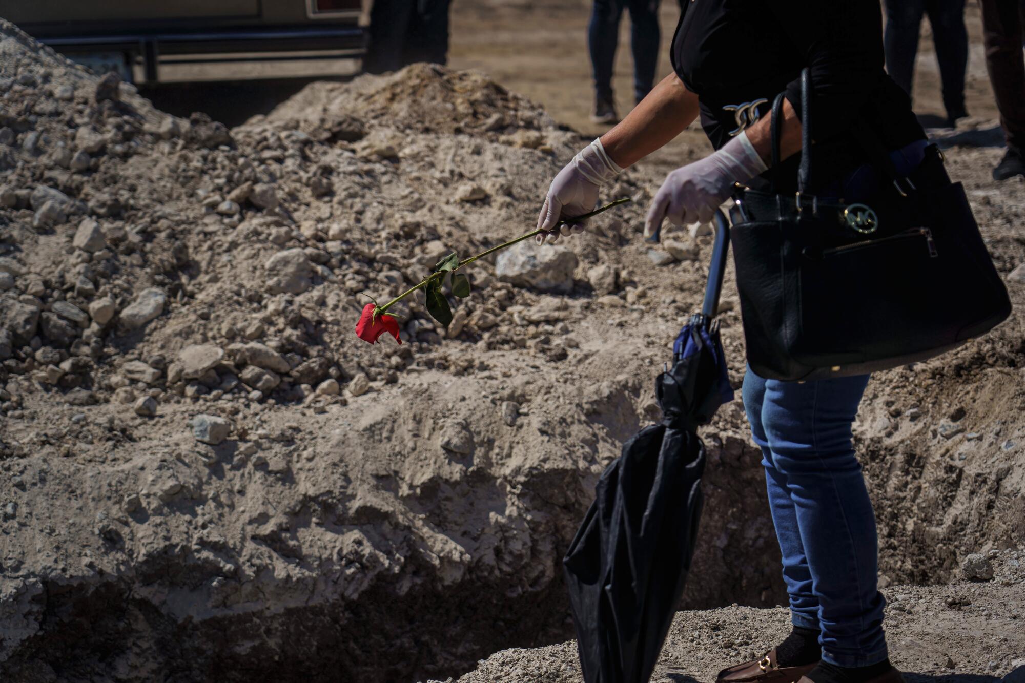 A woman prepares to toss a rose into a grave at Tijuana's Municipal Cemetery No. 13.