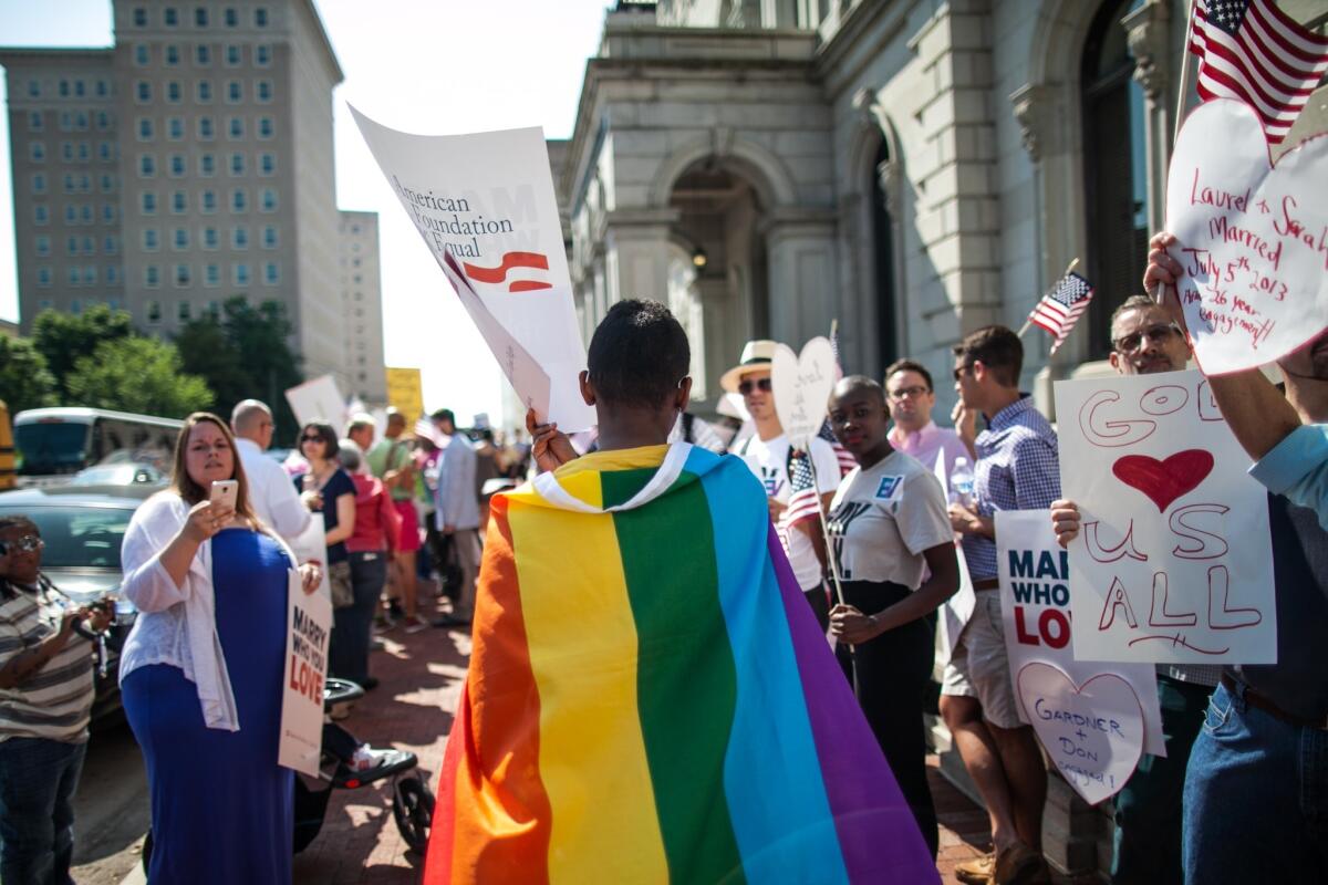 Protesters show their colors at a Richmond, Va., courthouse where judges heard an appeal about the state's same-sex marriage ban.