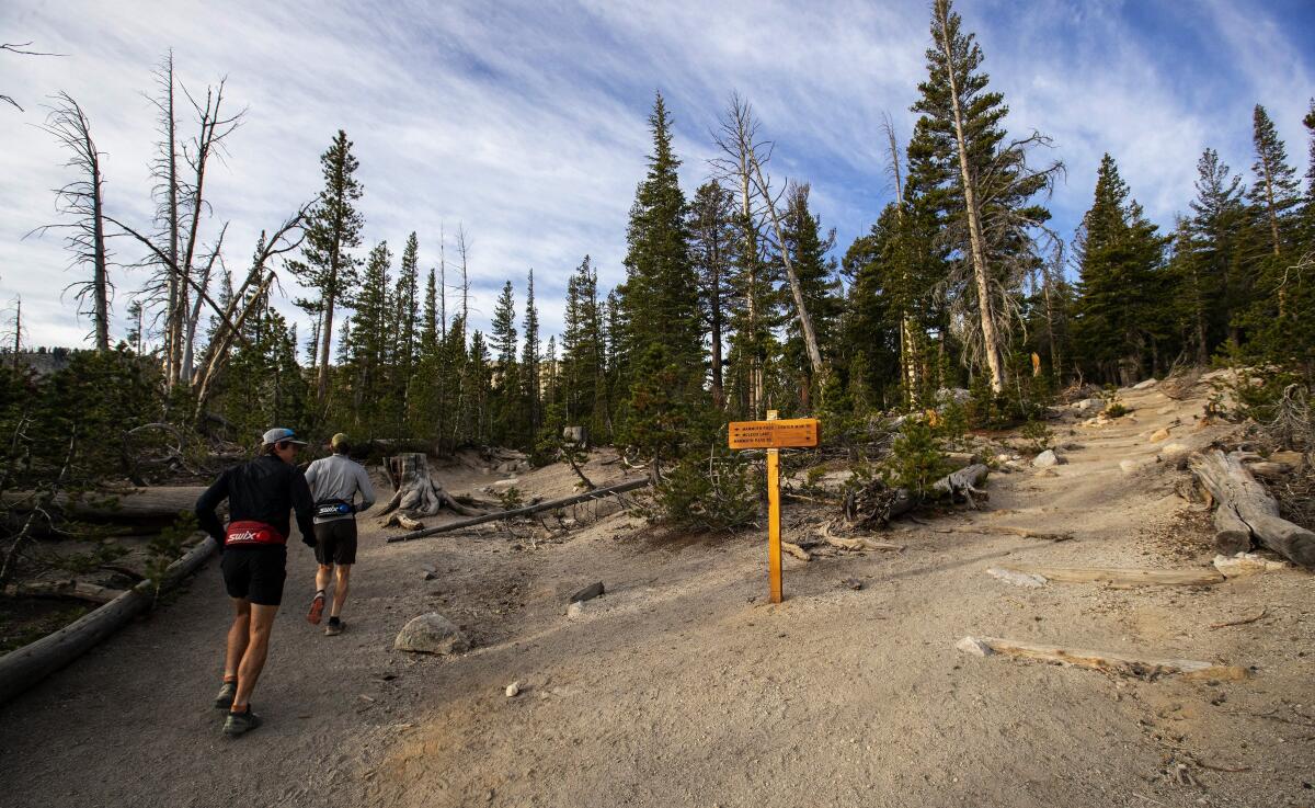 Trail runners run past new signage and revamped trails at the Horseshoe Lake Trailhead in Mammoth Lakes in Oct. 2019.
