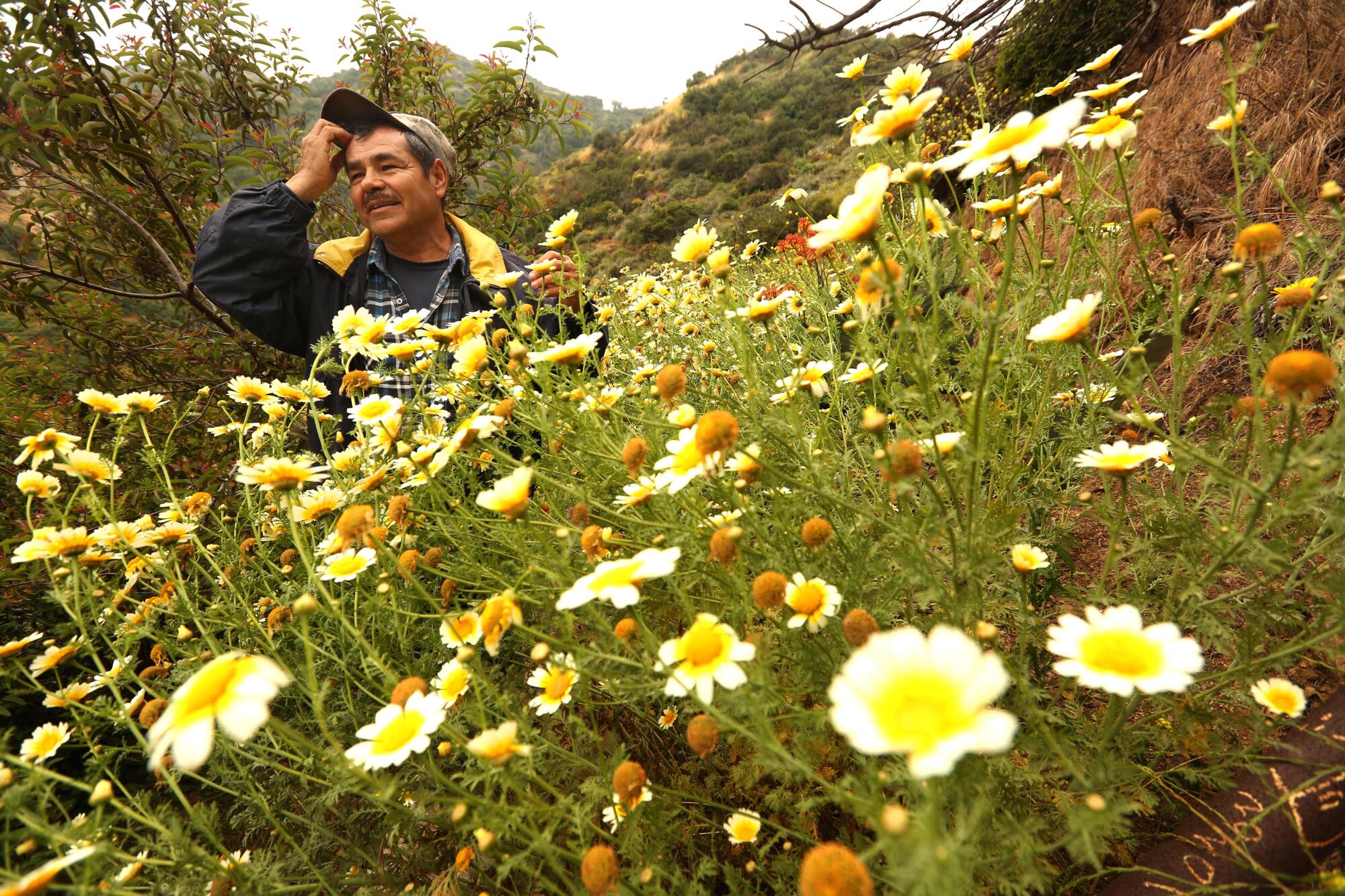 A man in a baseball cap stands on a hillside next to a portion of the garden he planted in Griffith Park.