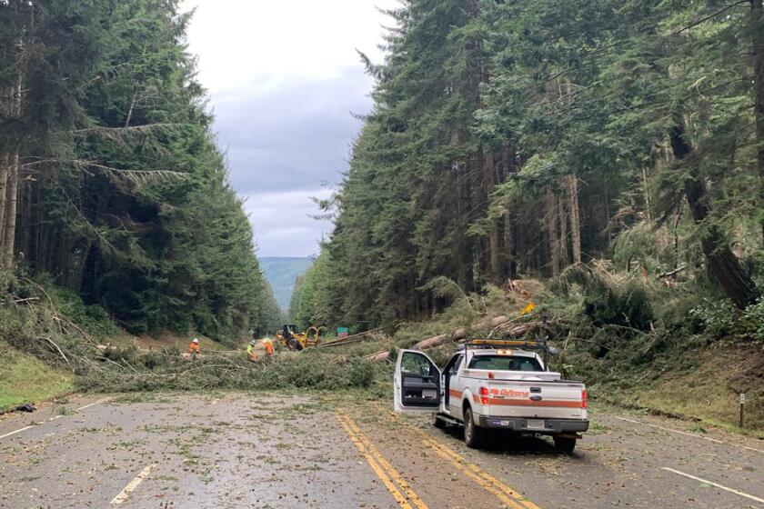Crews work at removing multiple fallen trees blocking U.S. Highway 101 in Humboldt County near Trinidad, Calif.