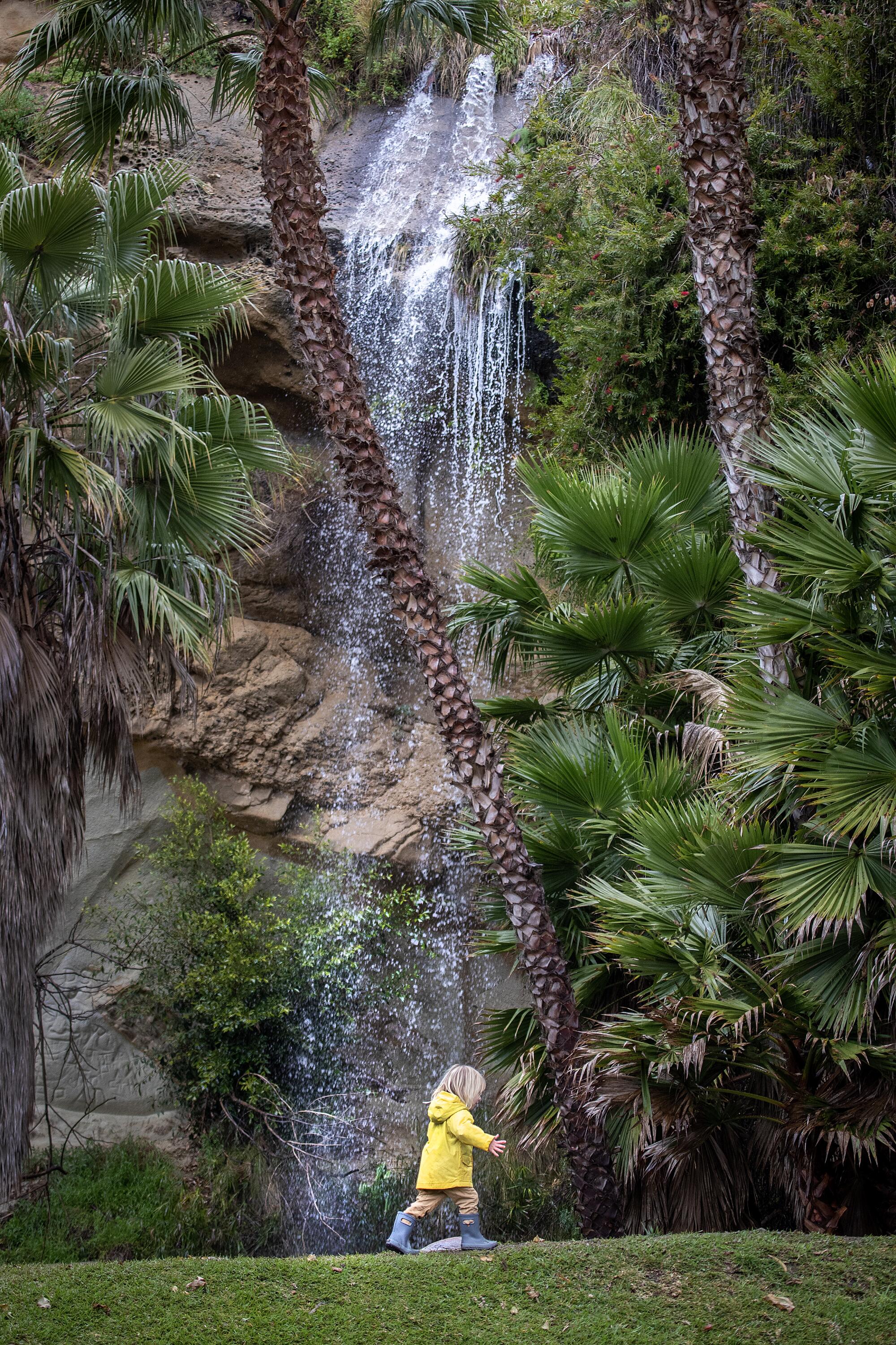 A child in a yellow raincoat walks under a small waterfall. 