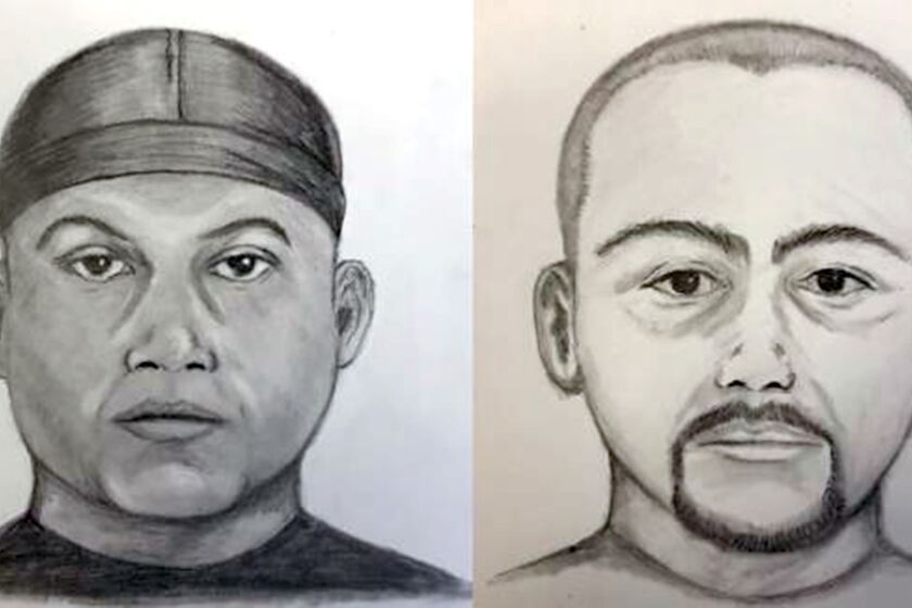 Sketches of the men believed to be involved in at least one of two child luring incidents in Spring Valley.
