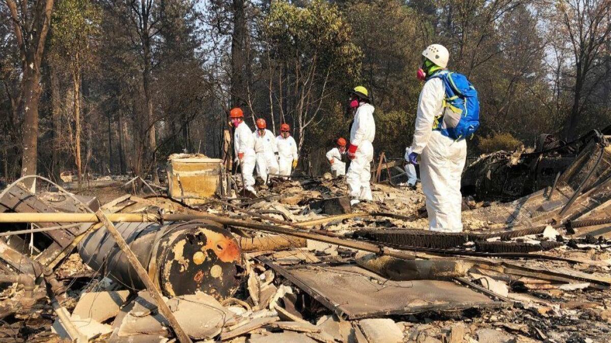 Volunteer members of an El Dorado County search-and-rescue team look for human remains in Paradise, Calif., after the Camp fire.