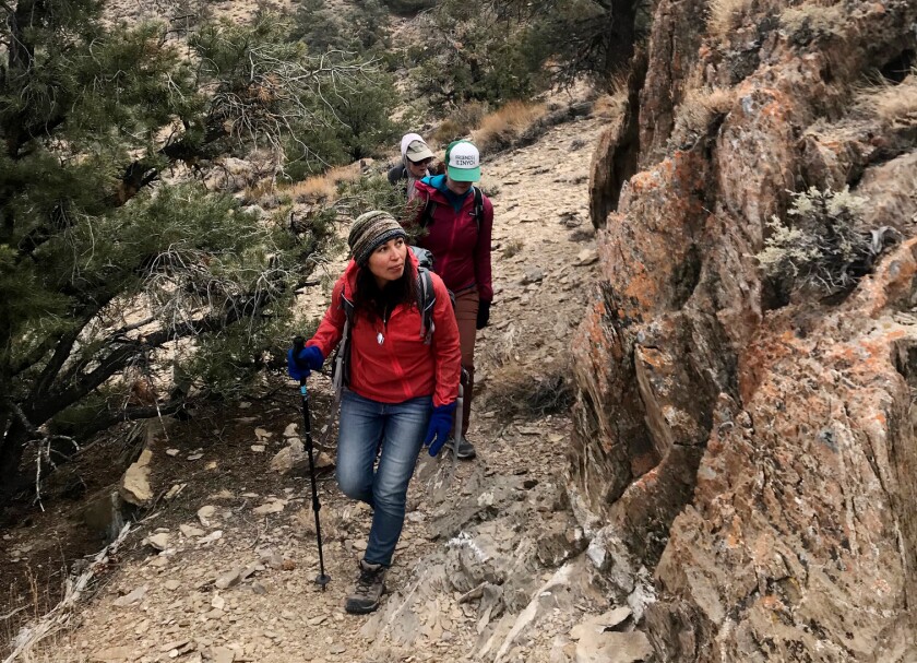 Three people hike in an area of the Conglomerate Mesa wilderness where the Inyo rock daisy is found.