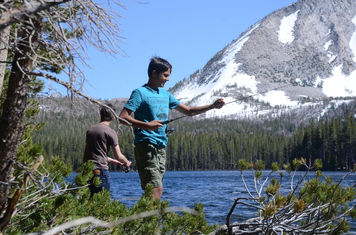 Angler, Davis Lake, Eastern Sierra, in 2017.