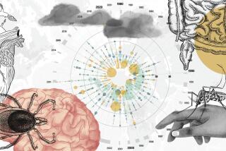 Illustration about the different ways infectious diseases can enter, and impact, the human body. (Illustration/Amelia Bates, Grist via AP)