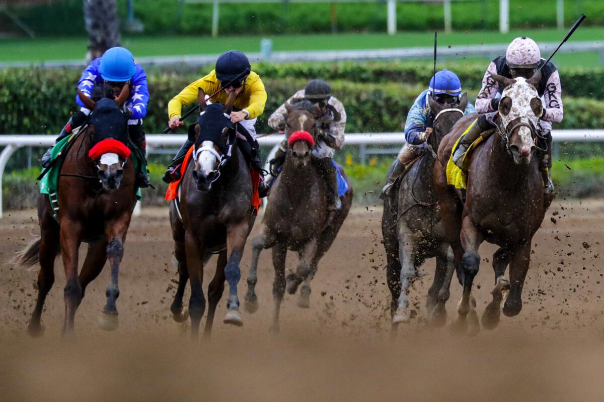 Horses race at Santa Anita during the 2021 Autumn meet.