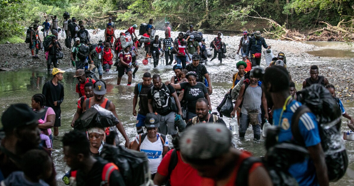 Sepotong Kolombia barat laut adalah koridor migrasi yang sibuk