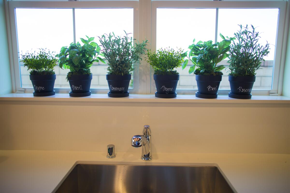 Herbs grow best in a south-facing window. 