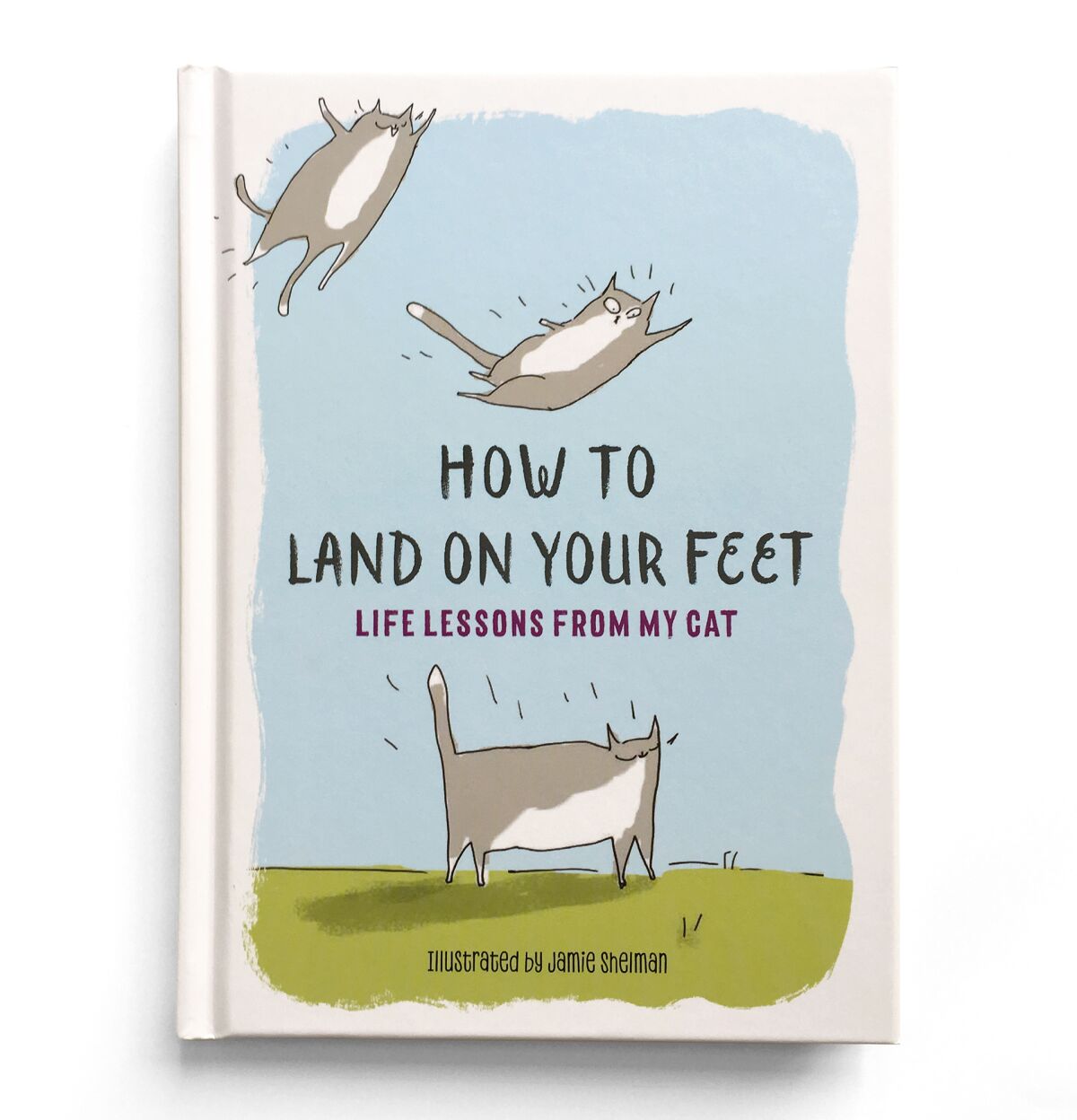 How to Land on Your Feet. Life Lessons From My Cat by Jamie Shelman Credit: The Experiment