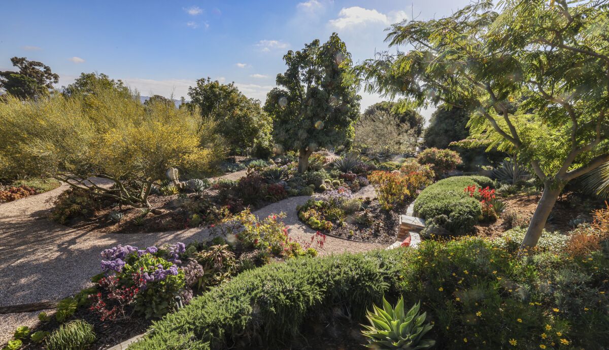 Multilevel garden with paths.