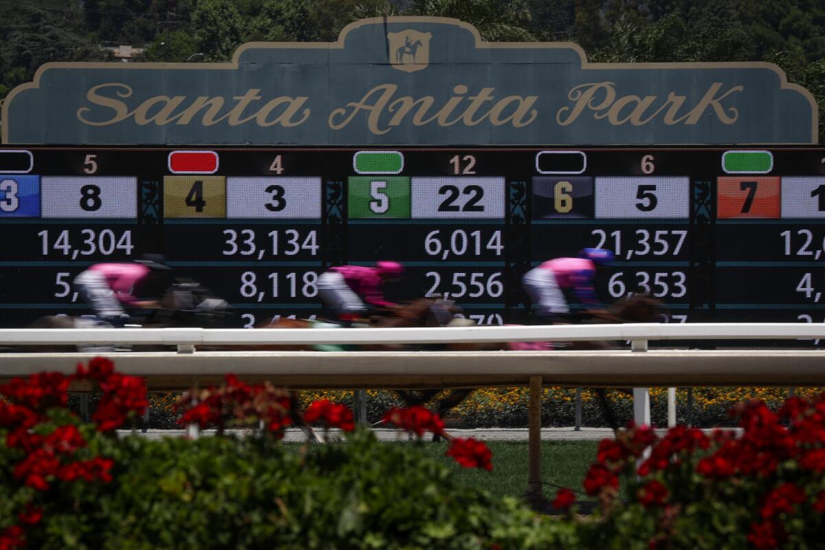 Thirty-seven horses died at Santa Anita during the 2019 racing season.
