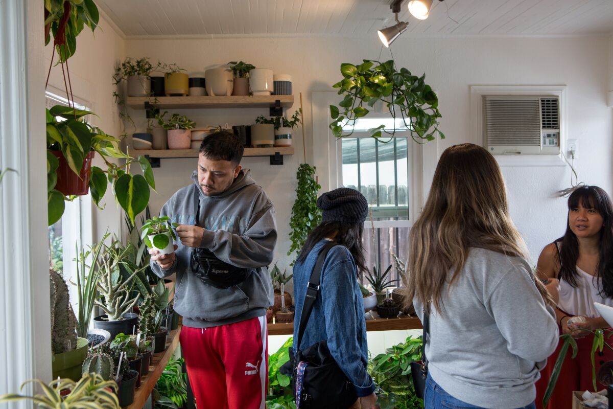Customers shop for rare plants at Leaf and Spine.
