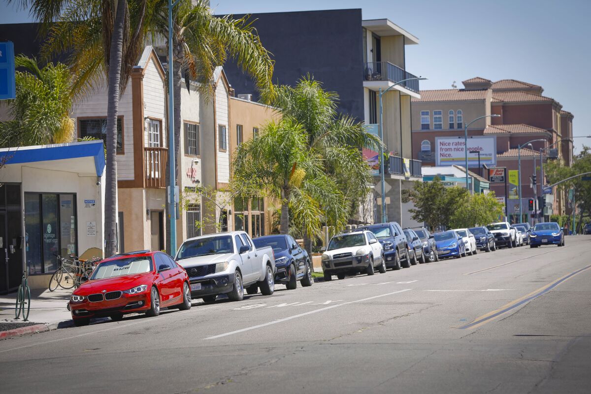 A row of parked cars on a tree-lined city street