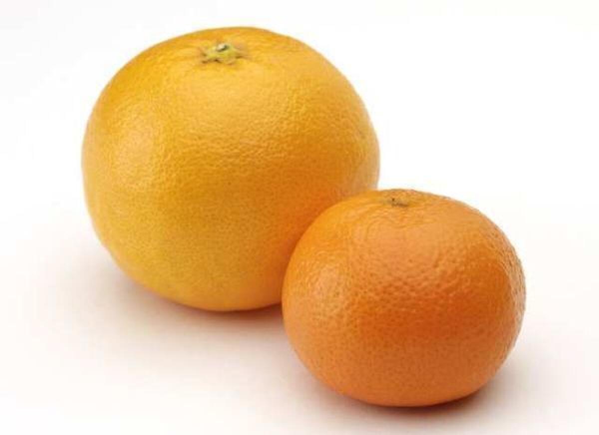 Tips for choosing and storing citrus.