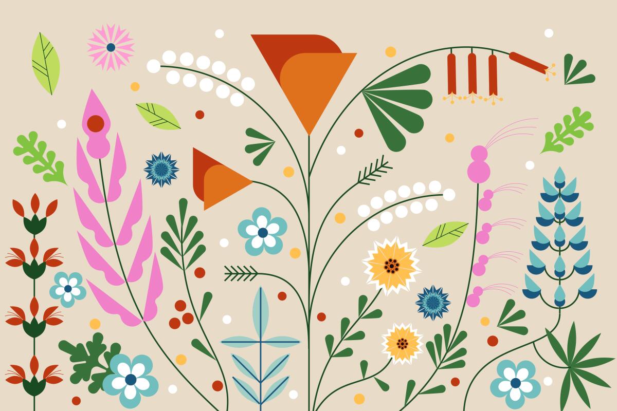 Various Los Angeles native plants bloom into a wild bouquet in an illustration.