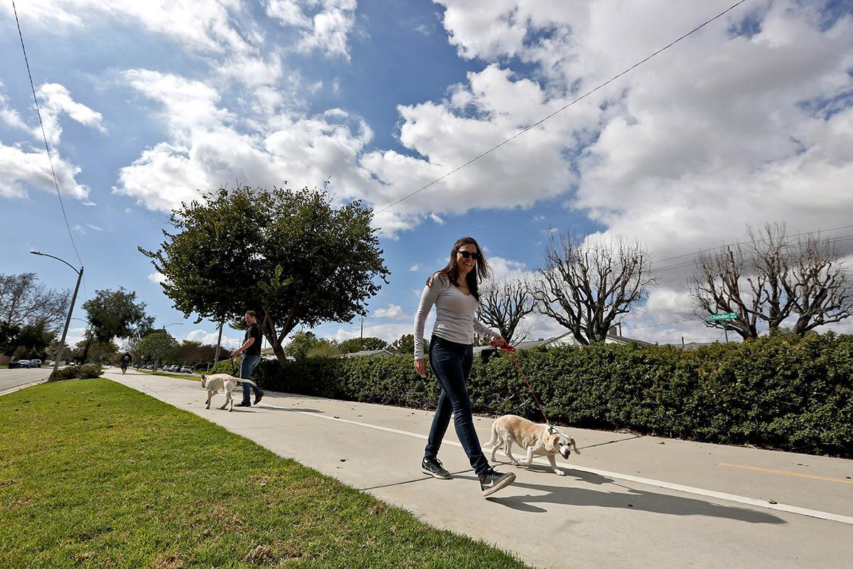 Laura James of Burbank walks her 16-yr. old Lemon Beagle named Taffy on the ChandLer Bikeway during a break in the rain, on Thursday, March 7, 2019. Rain is predicted to continue through the weekend.