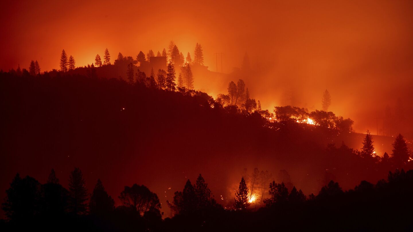 The Camp fire burns along a ridgetop near Big Bend, Calif., on Saturday.