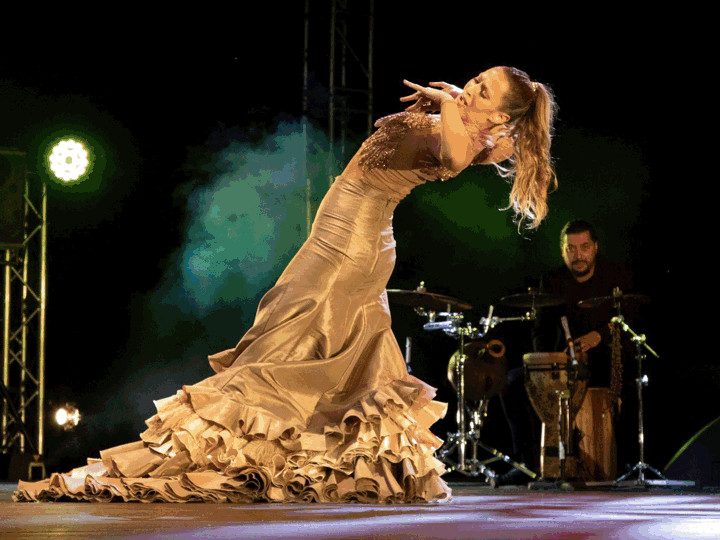 A slideshow features a flamenco dancer arching her back, an artist sticking out her tongue, and a rock band looking cool.
