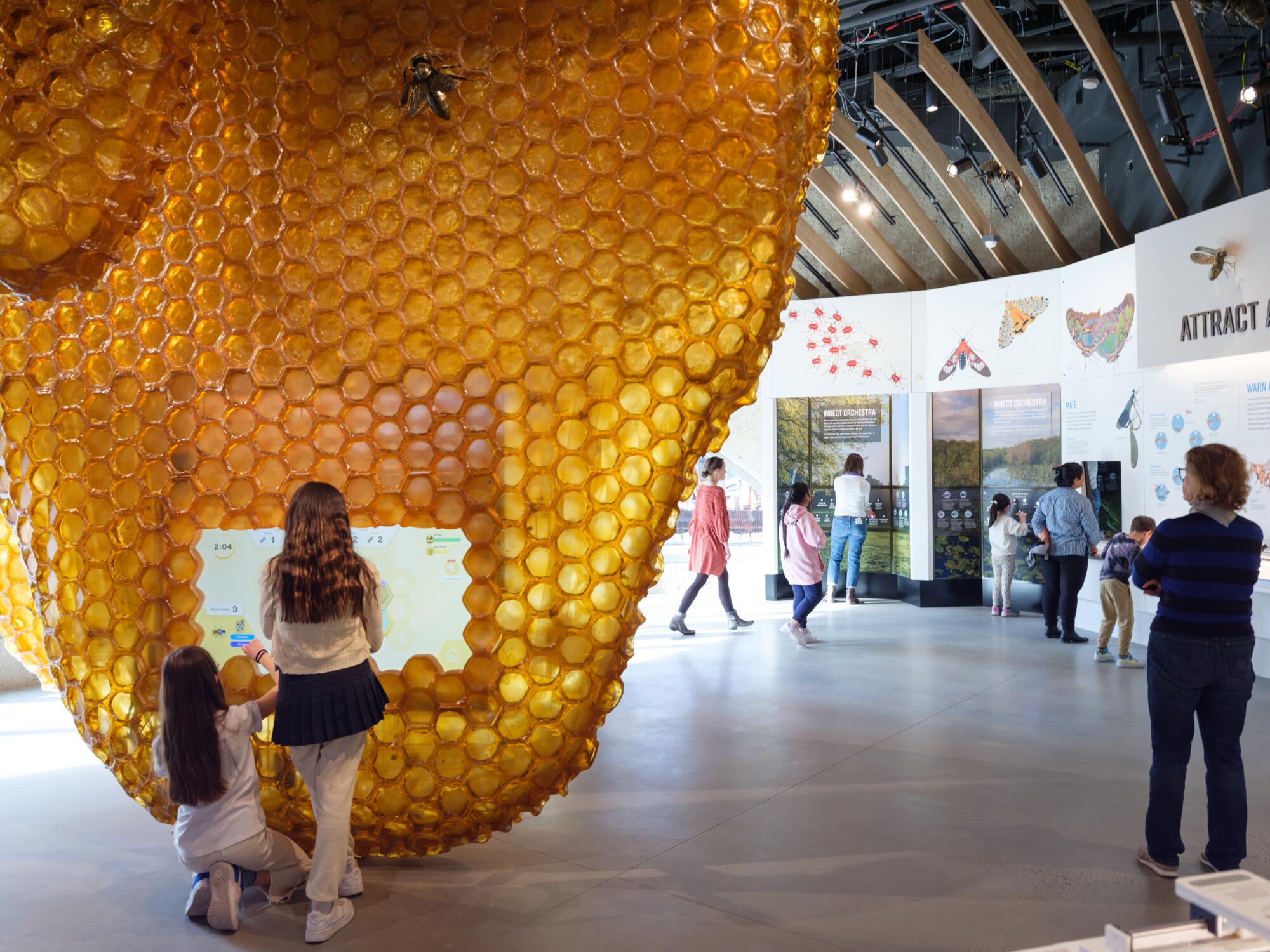 A view of a gallery shows kids standing in front of a monumental model of a bee hive crafted from resin.