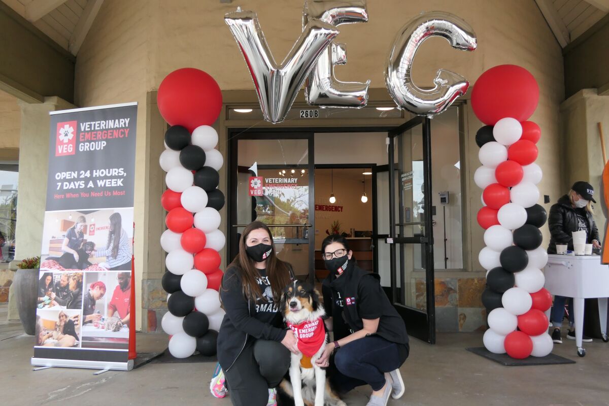 VEG Encinitas hospital manager Becky Kobari and Dr. Samantha Kent, medical director at VEG Encinitas with Erasmus.