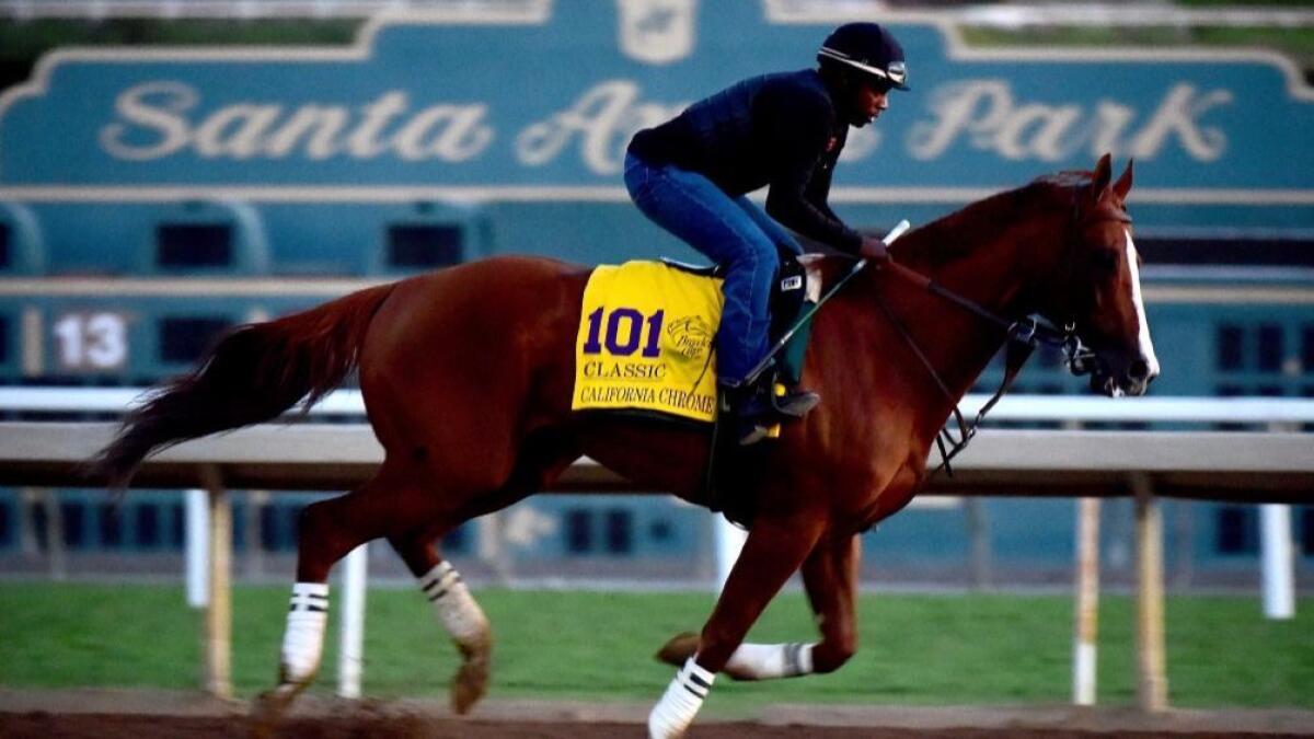California Chrome and exercise rider Dihigi Gladney are seen during a training session for the 2016 Breeders' Cup World Championships at Santa Anita.
