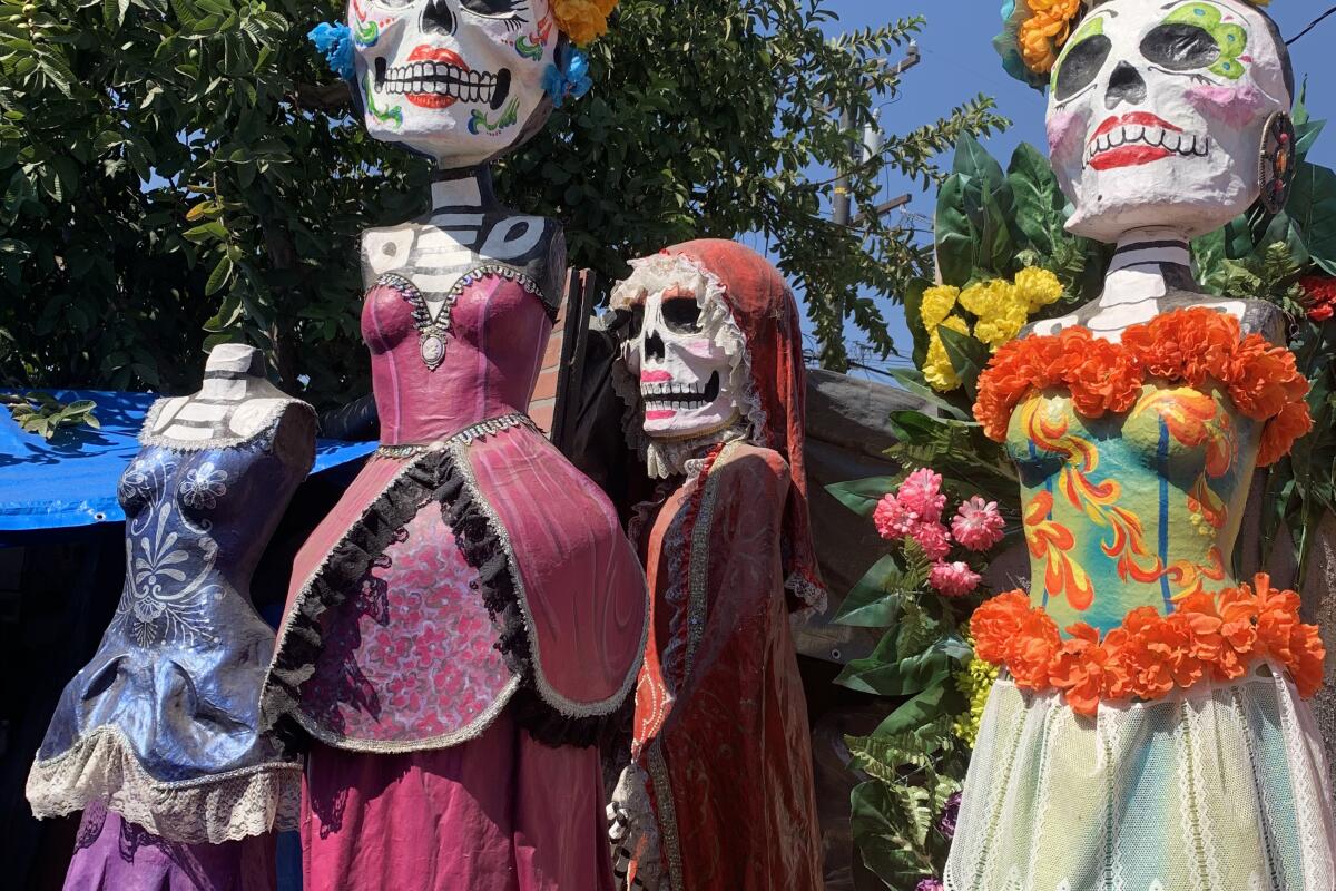 Four Día de Muertos sculptures of female skeletons with marigold crowns and colorful dresses. 