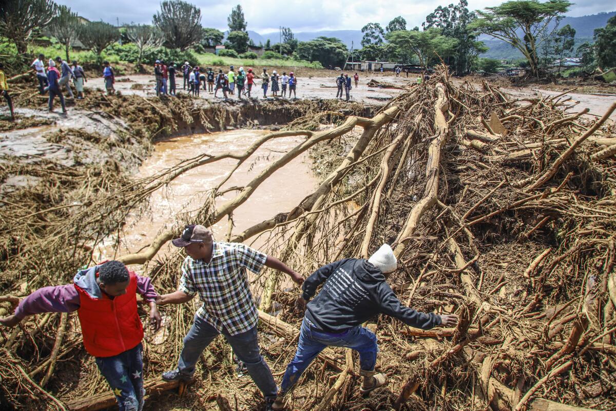 People struggle with branches and debris in a river.