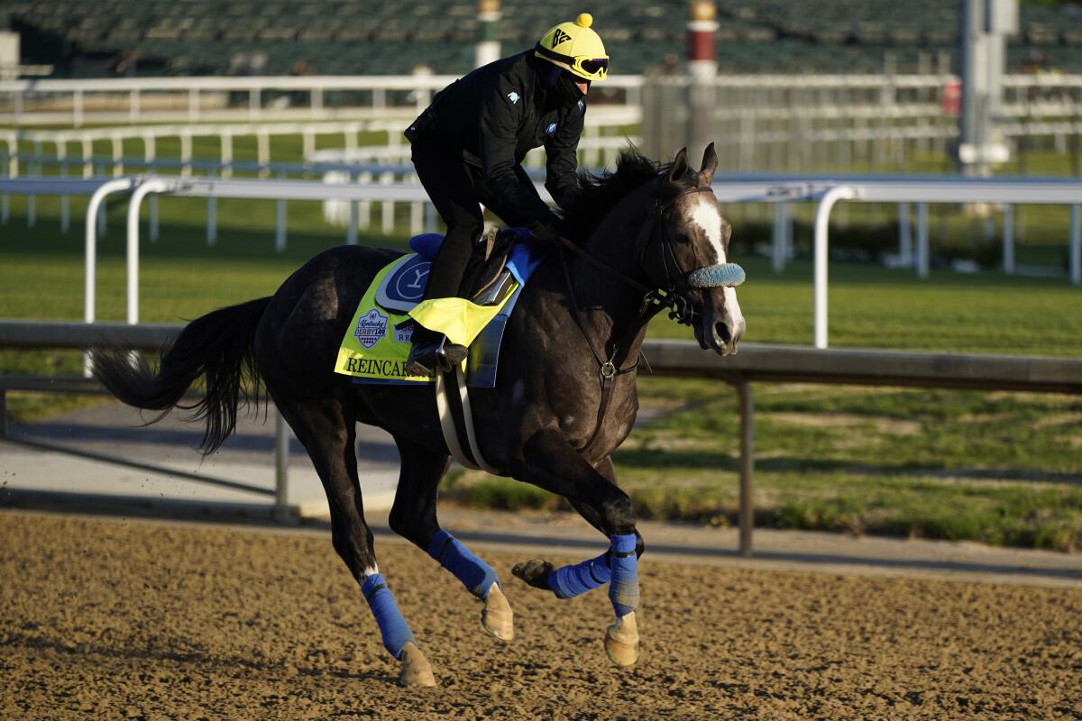 Kentucky Derby hopeful Reincarnate works out at Churchill Downs on Tuesday.