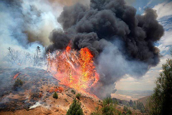 Firefighters set a controlled burn while fighting the Tehachapi wildfire. See full story