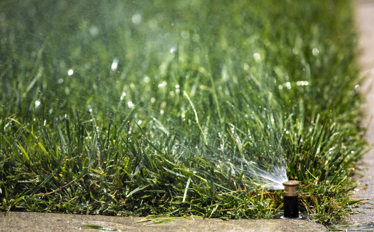An analysis of city water rates scheduled to be completed this year could lead to increases for San Diego water customers.