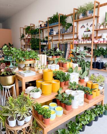 A shop full of houseplants and gifts. 