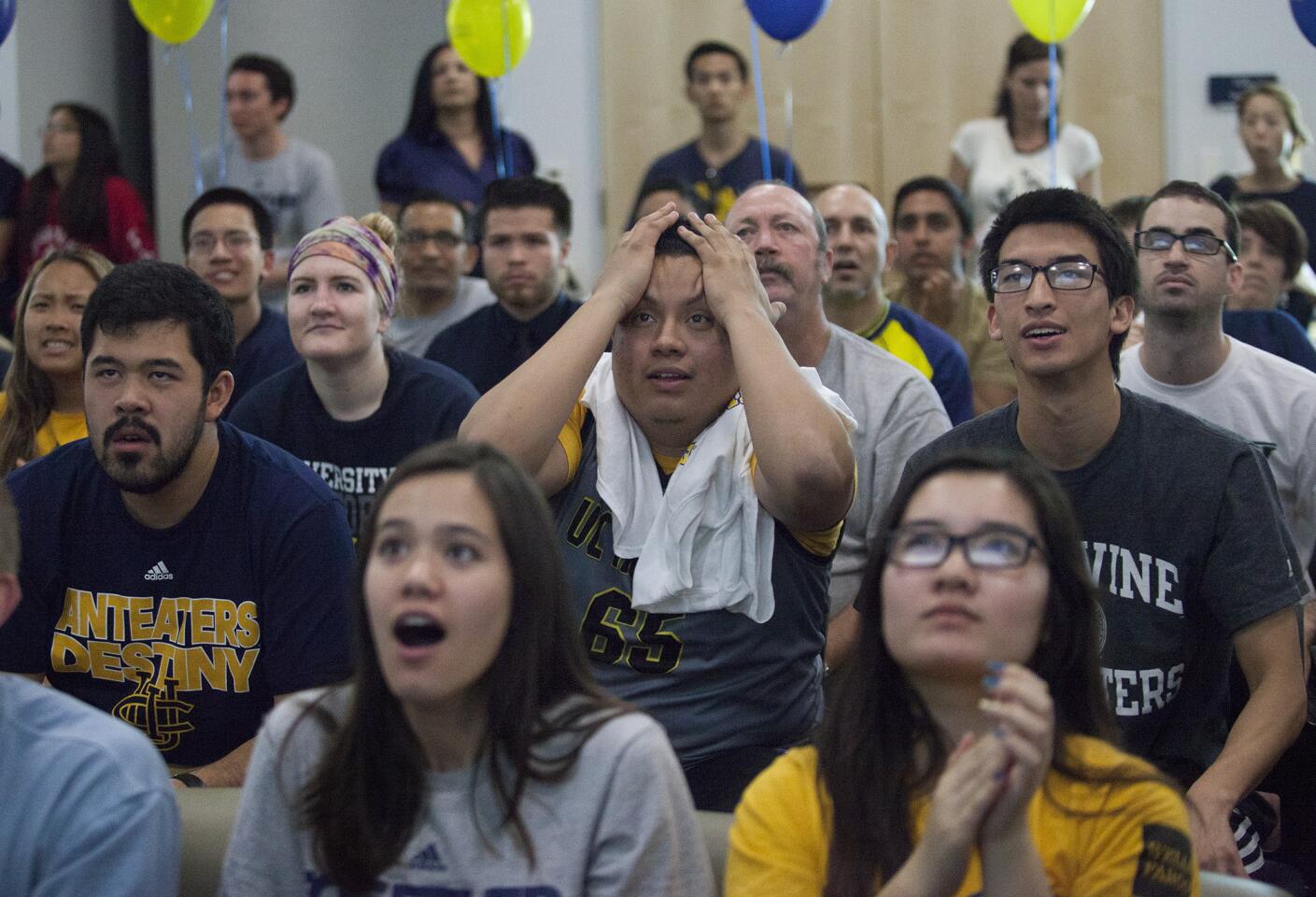 tn-dpt-photo-gallery-anteaters-fans-watch-the-001