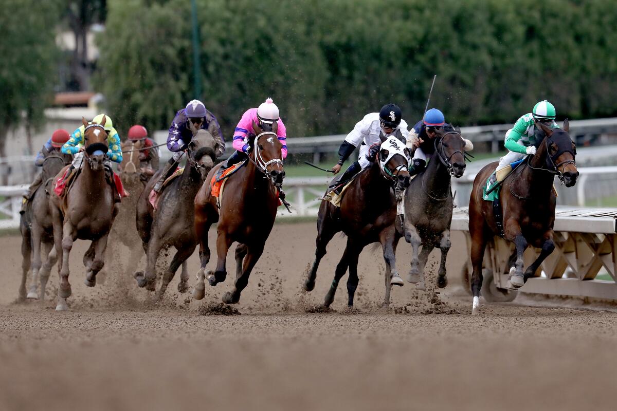 The horses hit the home stretch in the day's second race at Santa Anita Park in Arcadia, Calif., on March 14, 2020.